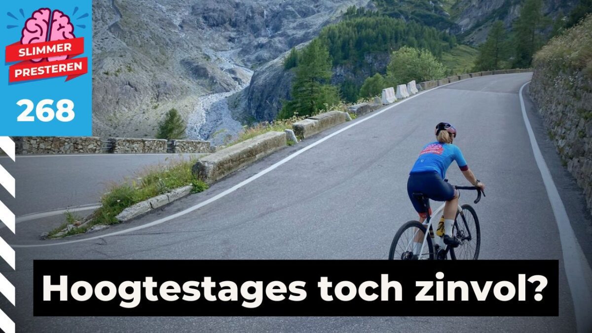 Een wielrenster fietst van achteren gezien alleen omhoog op een slingerende bergweg tijdens een hoogtestage in een alpenlandschap.